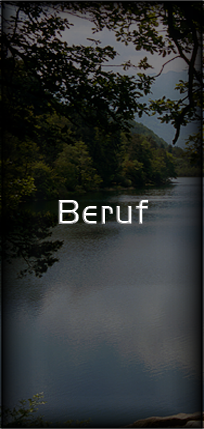 Beruf